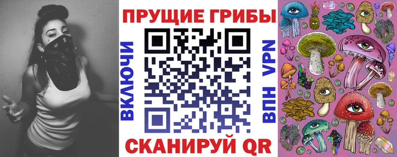 кракен вход  Данилов  Псилоцибиновые грибы Cubensis 
